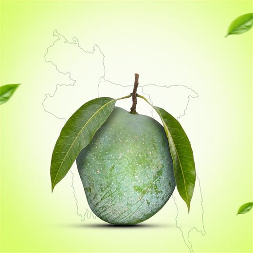 তাজা হাড়িভাঙ্গা আম